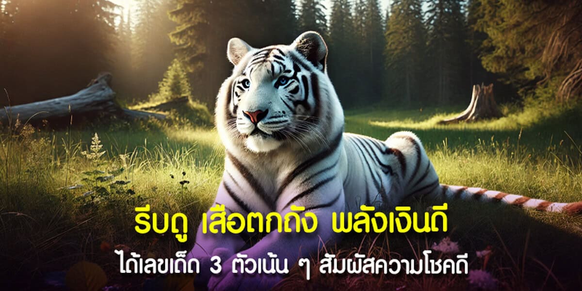 รีบดู เสือตกถัง พลังเงินดี