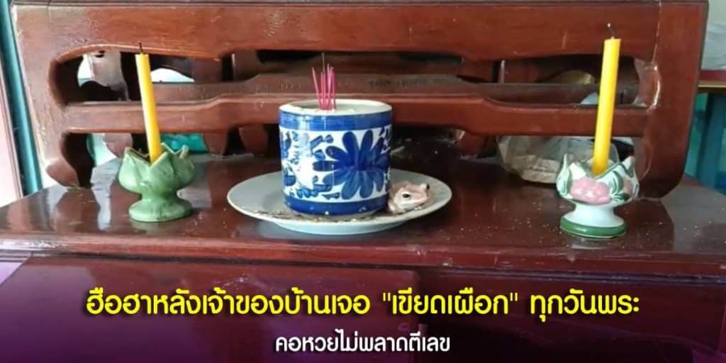 ฮือฮาหลังเจ้าของบ้านเจอ เขียดเผือก ทุกวันพระ